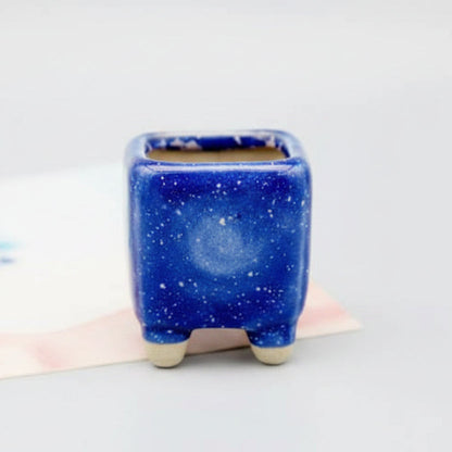 MINICACTA – Mini Ceramic Succulent Pot Set
