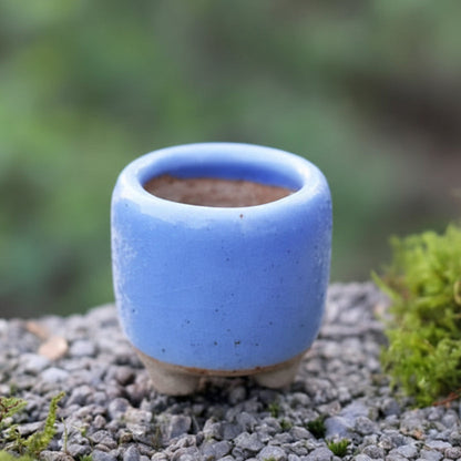 MINICACTA – Mini Ceramic Succulent Pot Set