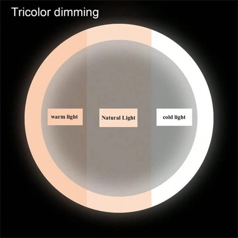 Rechargeable Lighted Vanity Mirror 16 Inch Round Tabletop Mirror with Adjustable LED Brightness Dimmable 360 Rotation for Makeup Skincare Be