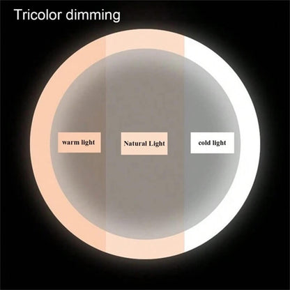 Rechargeable Lighted Vanity Mirror 16 Inch Round Tabletop Mirror with Adjustable LED Brightness Dimmable 360 Rotation for Makeup Skincare Be