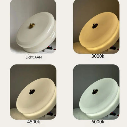 Round Flush Mount LED Fixture with 3 Color Temperatures Glass Metal 5 in Height for Bedroom Dining Room Kitchen Adjustable Kelvin Switch Mod