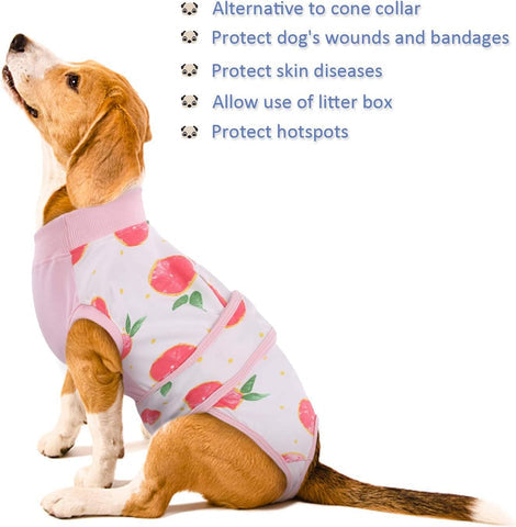 Quick Recovery | Dog Recovery Suit with Soft Fabric & Custom Fit | Ideal Post-Surgery Care for Comfort