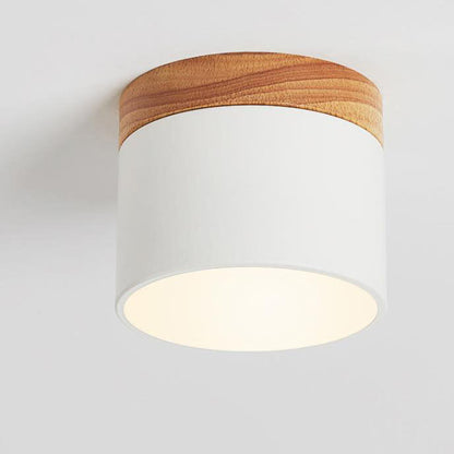 Round Compact LED Ceiling Light with Tri-Color Temperature Switch for Hallways, Bedrooms & Living Rooms | Modern Nordic Style Flush Mount