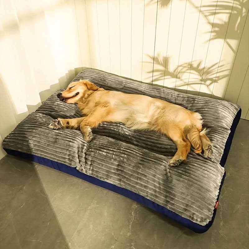 Orthopedic Dog Bed with Memory Foam Support for Joint Relief & Comfort | Medium Large XL Sizes for Senior Dogs | Washable Plush Pet