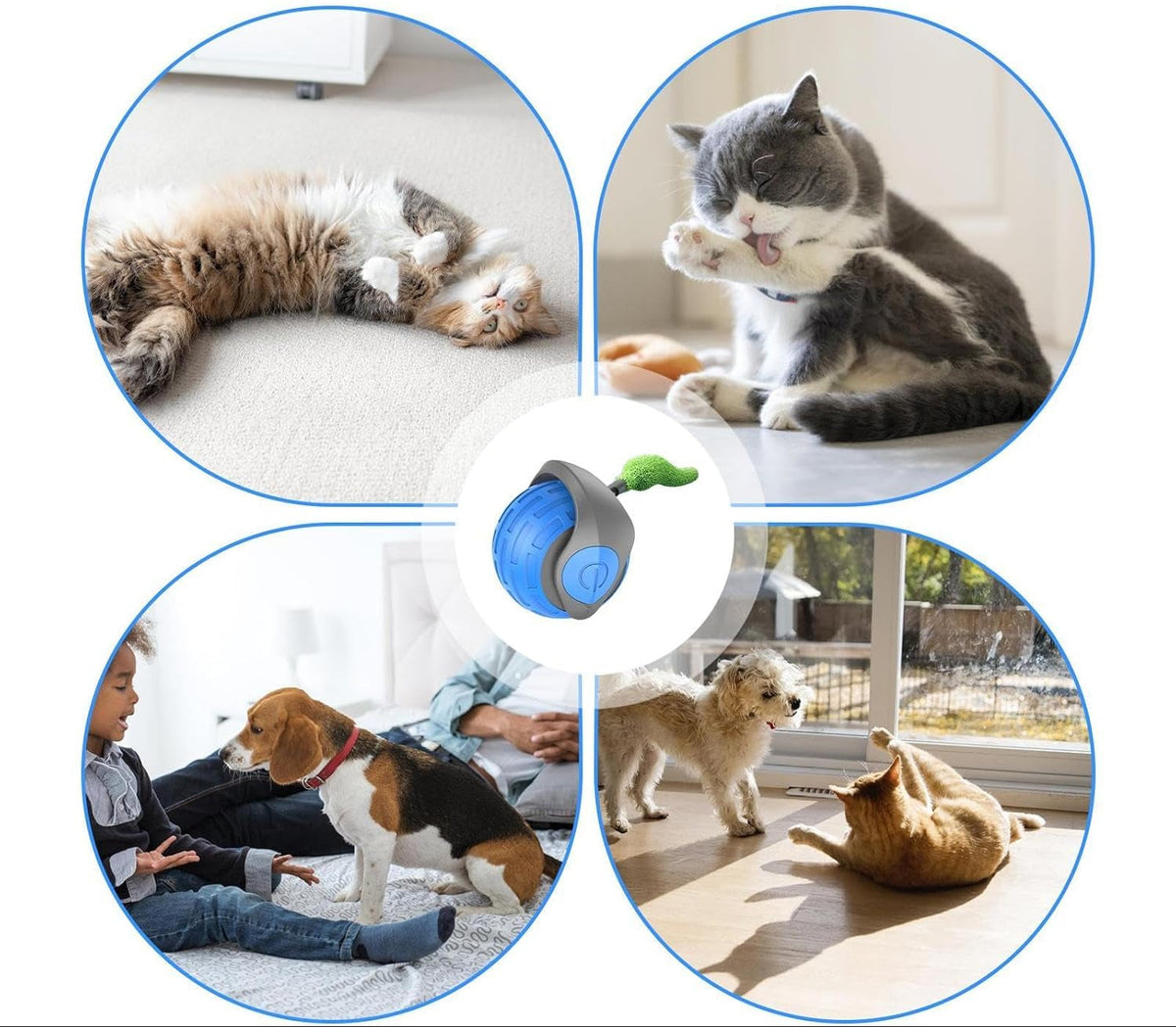 Self-Rolling Cat Ball with Feather Tail for Indoor Play – USB Rechargeable Obstacle-Sensing Pet Entertainment Toy