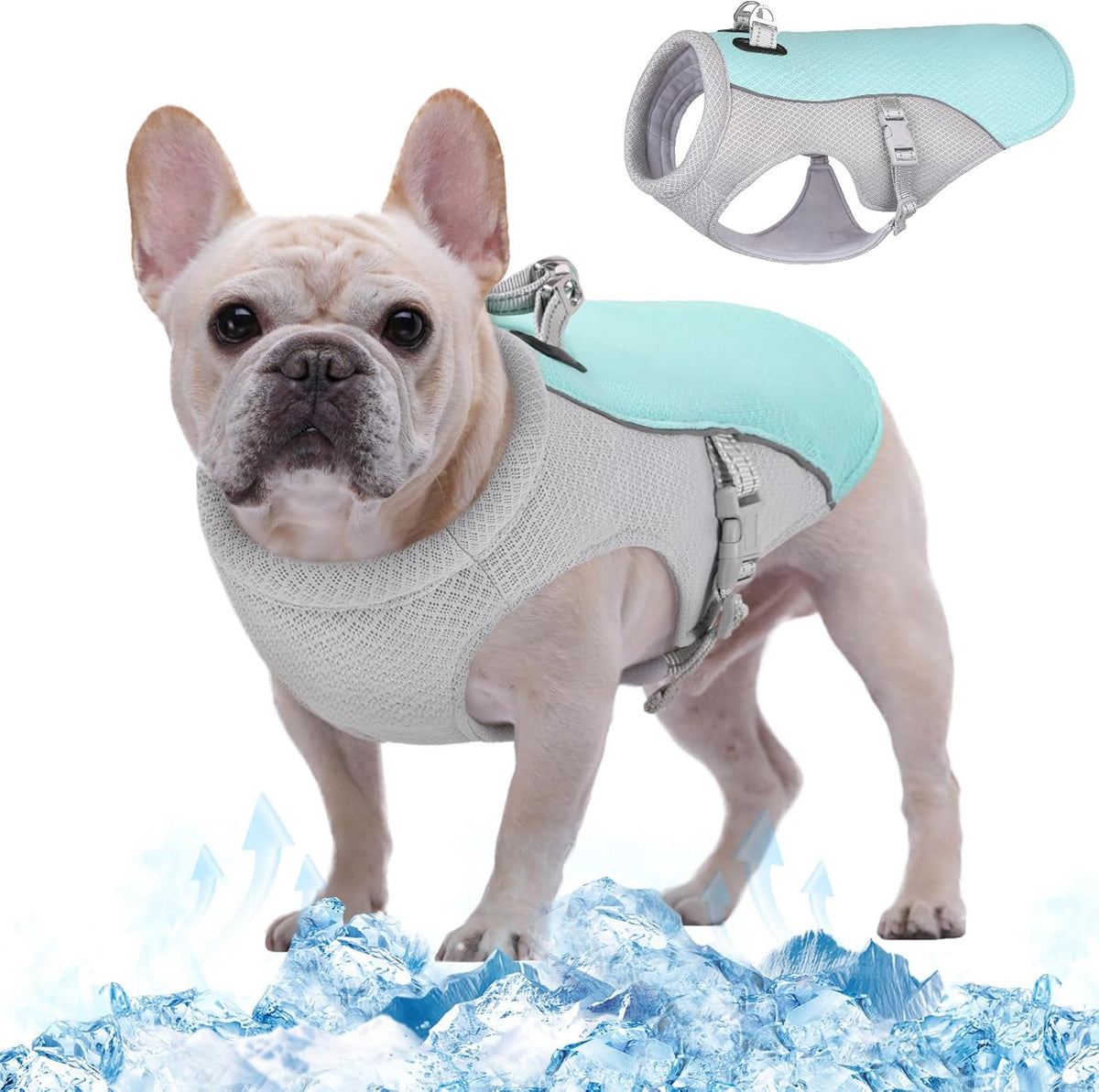 Cooling Dog Vest | Reflective Summer Harness with Quick-Release Buckles | Adjustable Fit for Comfort