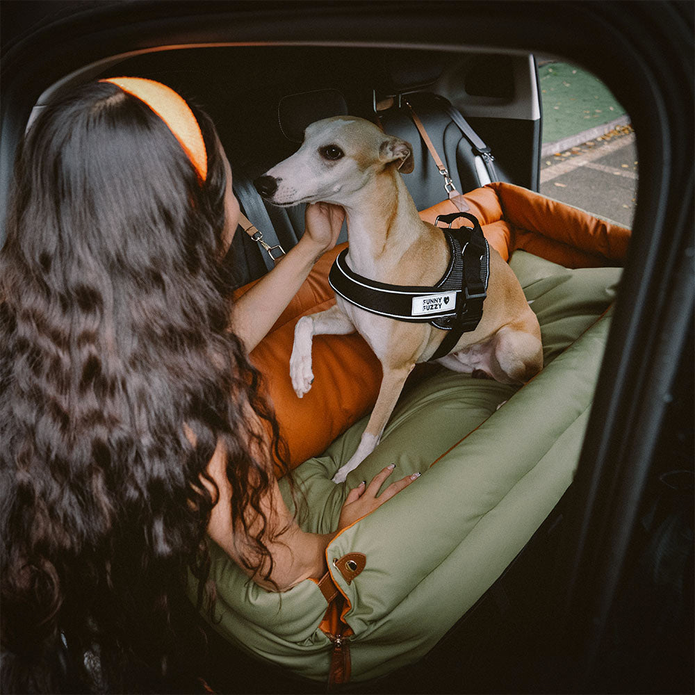 Portable Pet Travel Carrier Bed with Safety Leash for Small to Medium Dogs – Waterproof Faux Leather Car Booster Seat & Indoor Lounge