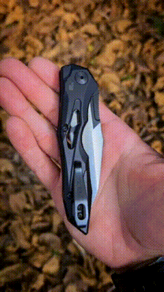 Everyday Carry Knife, Automatic EDC Folding Knife with Push Button, Compact Camp Knife with Clip and CPM 154 Blade