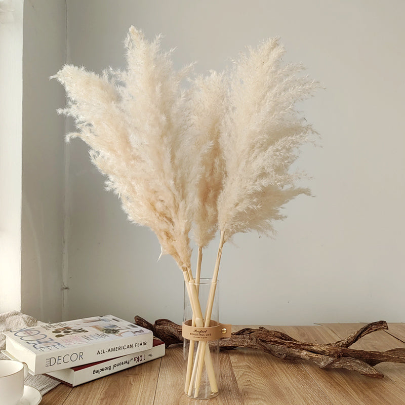 Fluffy Natural Pampas Grass Stems for Vase Displays | 16-30 Inch Dried Floral Accents for Living Room Shelf Styling Event Centerpieces Boho
