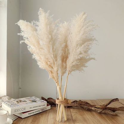 Faux Pampas Grass Stems Natural Beige 10-Pack Boho Decor for Living Room Bedroom Wedding Events Fluffy Reed Bundle Centerpiece