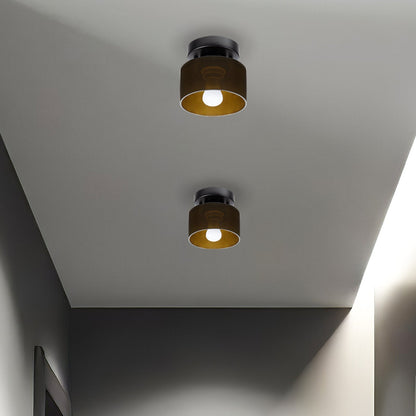 Flush Mount Glass Globe Light with E27 Socket for Entryway Kitchen and Bedroom Lighting