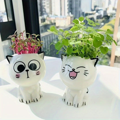 Kitty Planters