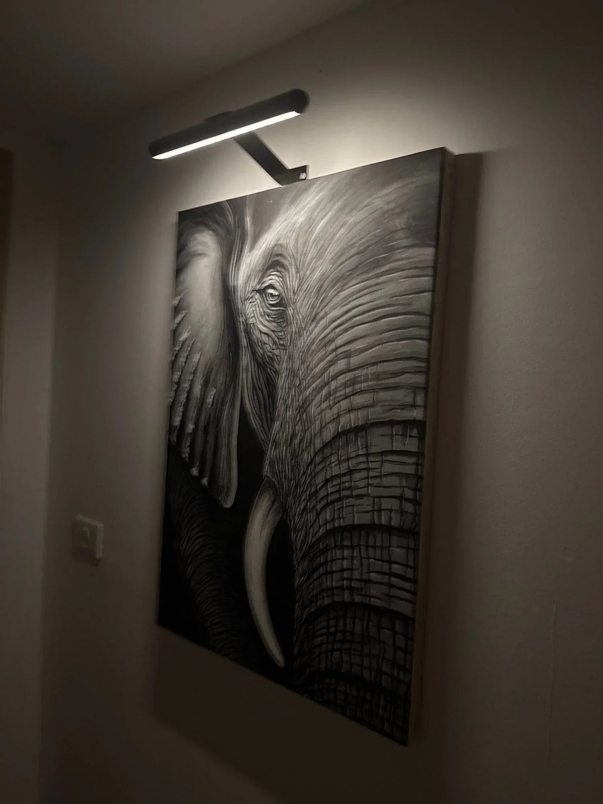 Wireless LED Picture Light with Dimmer & Remote – Swivel Head Art Illuminator for Wall Display