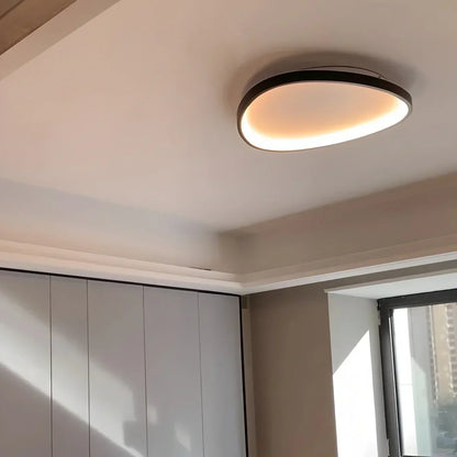 Flush Mount LED Overhead Fixture 17 in Oval Metal Design with Adjustable Color Temp & Dimming for Bedrooms Entryways Contemporary Homes