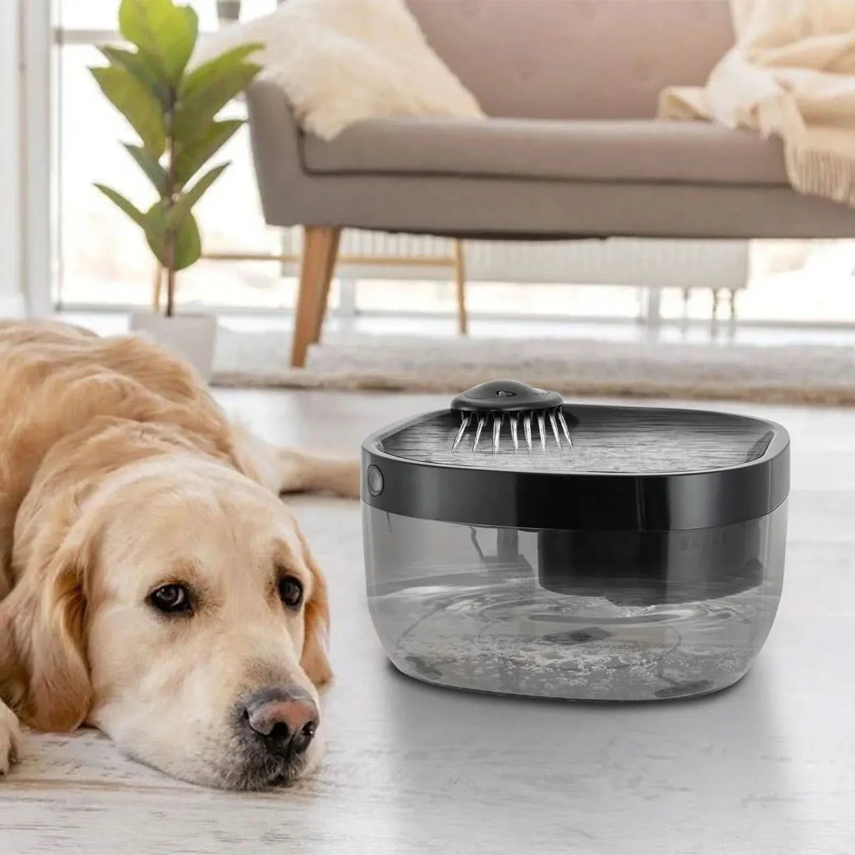 PETFLOW – Wireless Pet Water Fountain for Cats & Dogs