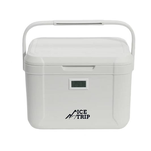 12V Portable Electric Cooler Warmer for Car, Camping & RV - 5L Capacity Thermoelectric Fridge with Dual Temperature Control