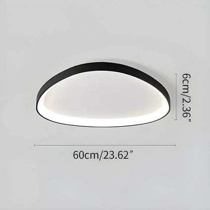 Flush Mount LED Overhead Fixture 17 in Oval Metal Design with Adjustable Color Temp & Dimming for Bedrooms Entryways Contemporary Homes