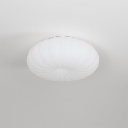 Round Flush Mount LED Light with Remote Control White 22 Inch Dimmable for Bedroom Living Room Kitchen Modern Low Profile Fixture