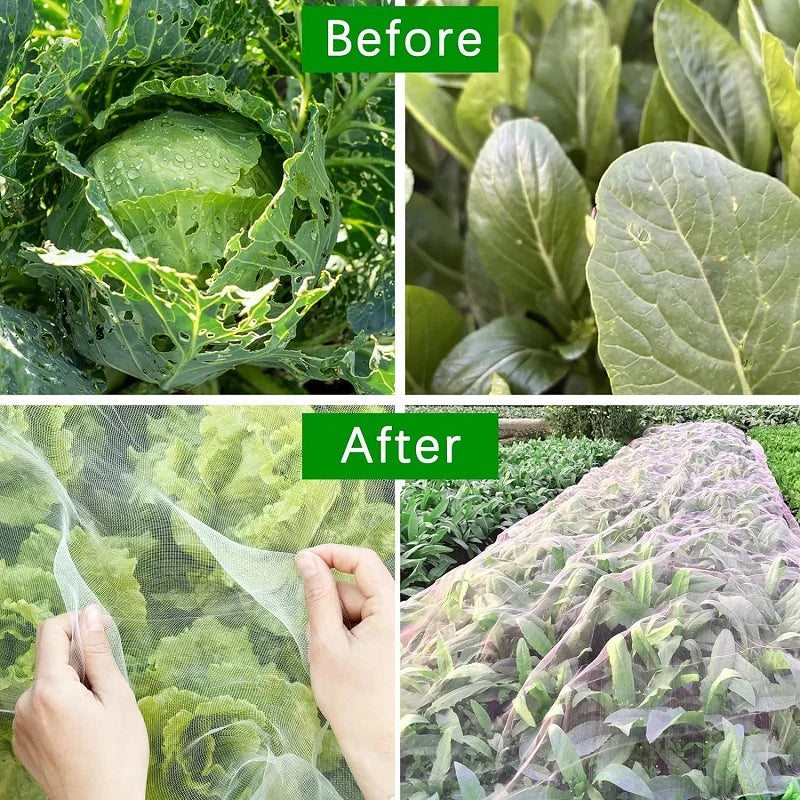 Breezy Insect Netting for Garden - HDPE, Breathable Pest Protection