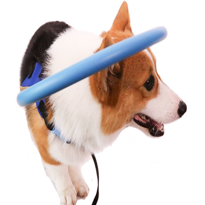 BrightGuide | Bumper Collar Harness for Blind Dogs with Lightweight Design | Safe Mobility for Daily Walks