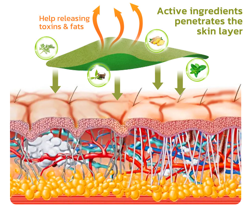 Patch for Reducing Cellulite - Natural Formula
