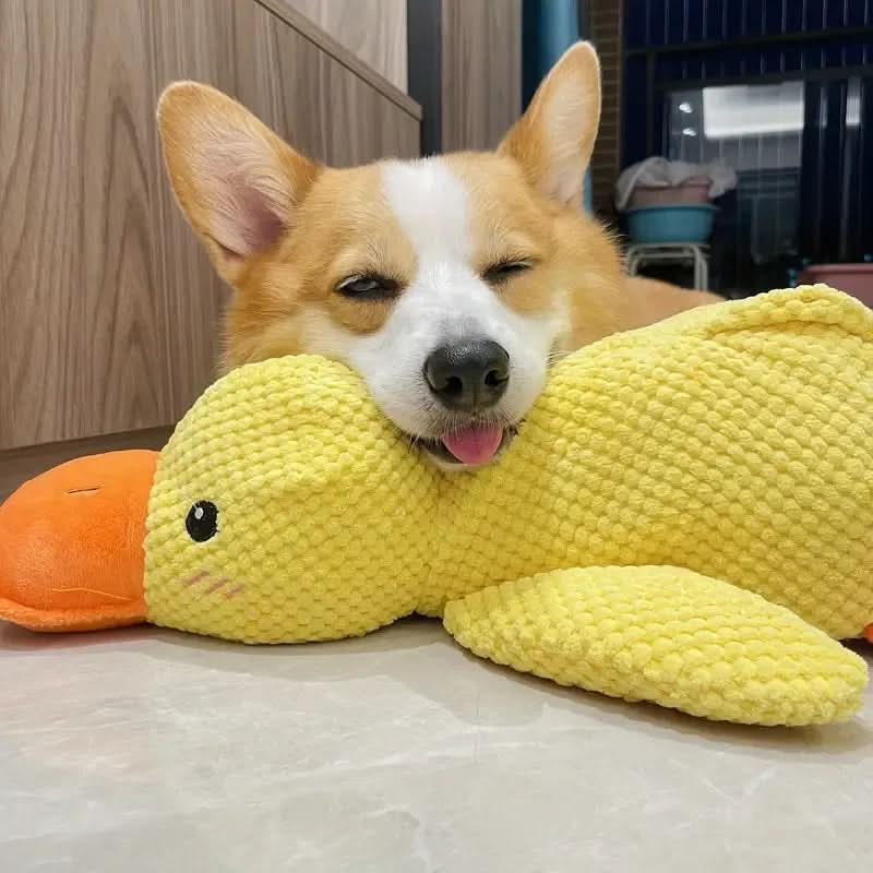 QUACKPAWS – Interactive Plush Dog Toy with Quacking Sound