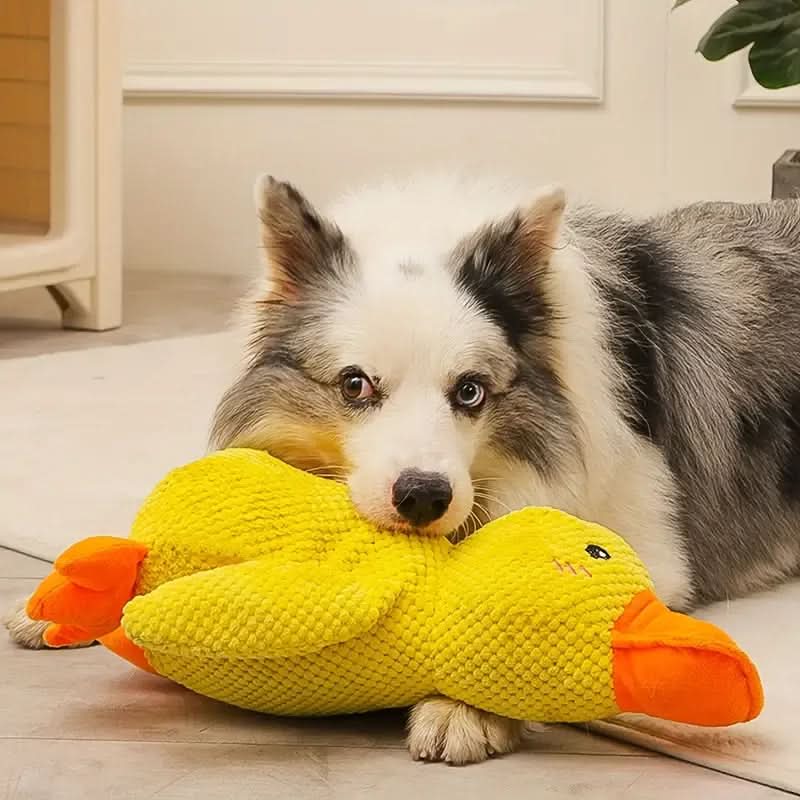 QUACKPAWS – Interactive Plush Dog Toy with Quacking Sound