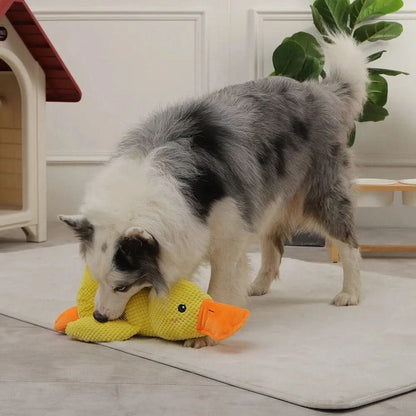 QUACKPAWS – Interactive Plush Dog Toy with Quacking Sound