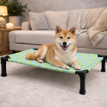 Comfort Haven | Elevated Dog Bed with Chew-Proof Design | Portable Cot for Year-Round Comfort