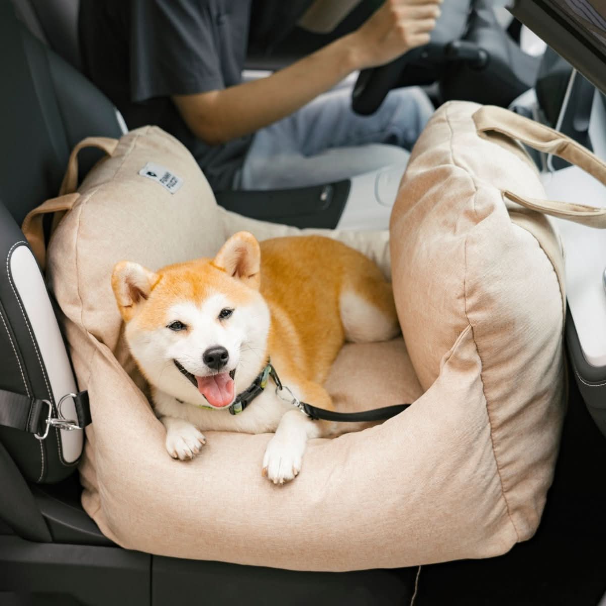 Comfort Pet | Dog Seat Bed with Adjustable Safety Belts & Non-Slip Base | Ideal for Travel and Home Use