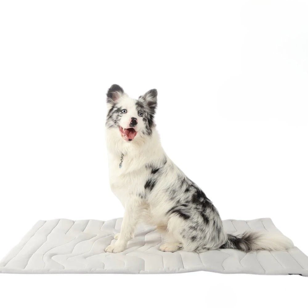 CoolPaws | Dog Cooling Mat with Self-Activating Gel for Instant Relief