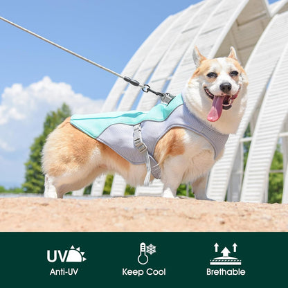 Cooling Dog Vest | Reflective Summer Harness with Quick-Release Buckles | Adjustable Fit for Comfort
