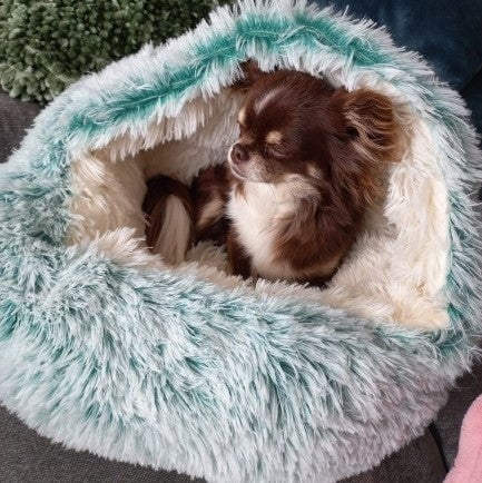 Ortekor Cozy Haven | Premium Pet Bed with Anti-Slip Design | Multi-Purpose Comfort for All Breeds