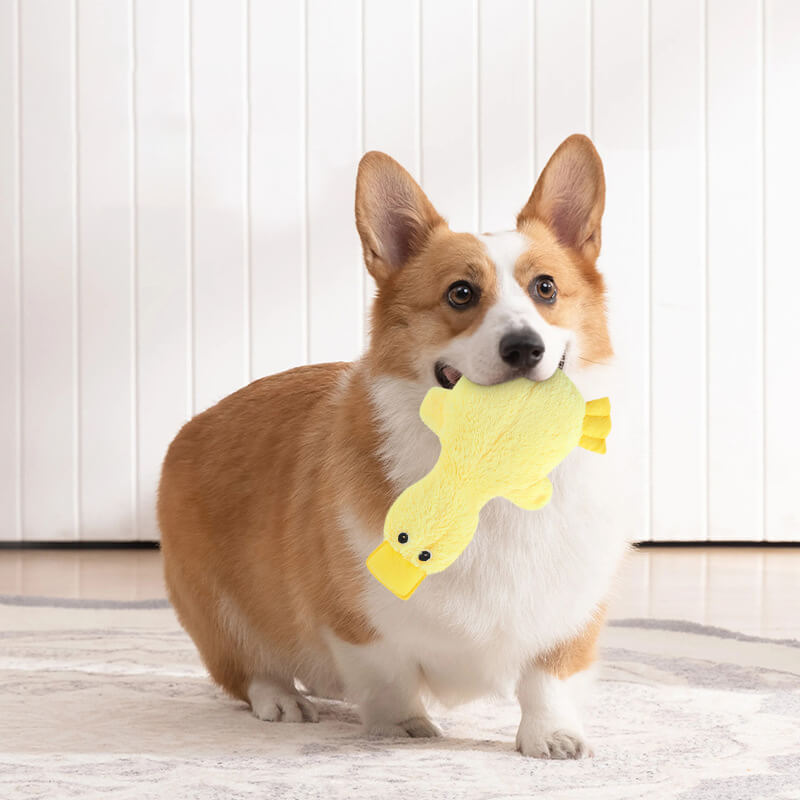 Squeaky Plush Duck Dog Toy – Soft Chew Toy for Small & Large Dogs, Interactive Pet Plaything with Sound for Puppies & Adult Canines