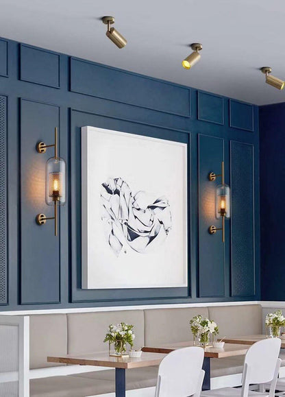 Pivoting Metal Track Spotlight Fixture 350° Swivel Wall & Ceiling Mount LED Accent Light for Living Room Bedroom Kitchen Gallery Art Display