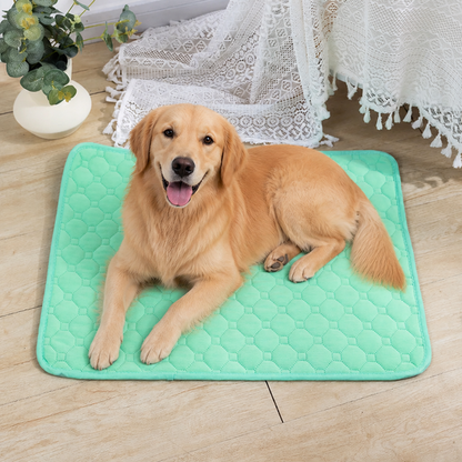 Ortekor 4-Layer Ultra Absorbent Waterproof Non-Slip Pet Mat