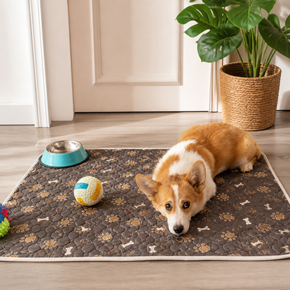 Ortekor Absorbent Washable & Anti-Slip Dog Training Pad