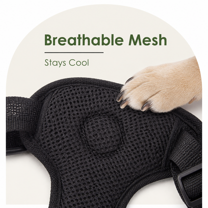 Ortekor Adjustable Breathable Mesh Dog Car Safety Harness