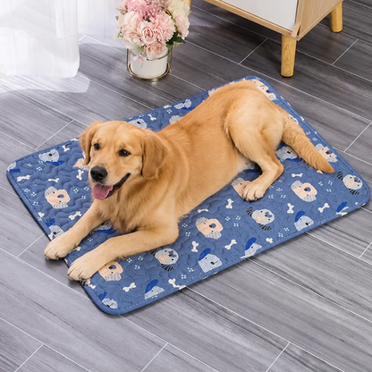 Ortekor Cooling & Breathable Pet Mat