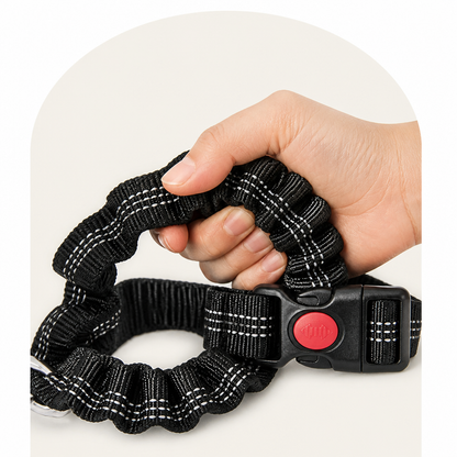 Ortekor Dual-Safety Shock-Absorbing Dog Car Seat Belt (Adjustable 16-26 in)