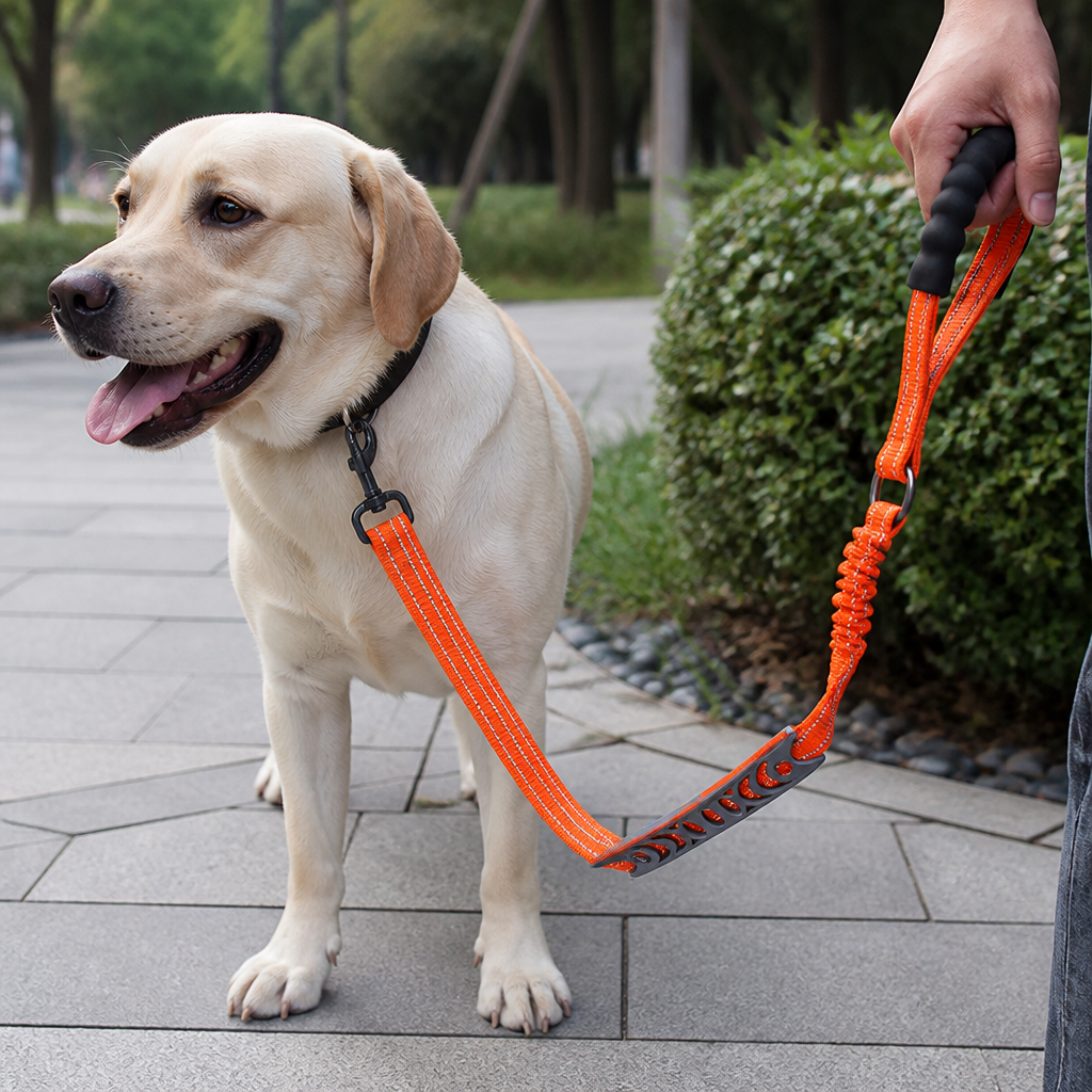 Ortekor Explosion-Proof Double-Sided Reflective Adjustable Dog Leash (Medium & Large)