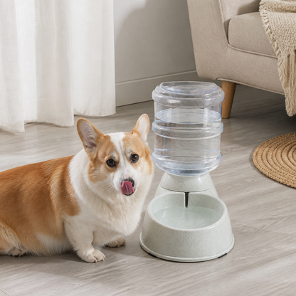 Ortekor Large Capacity Automatic Food & Water Feeder (Removable Bowls)