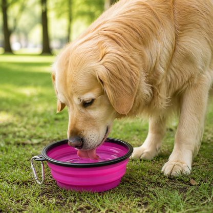Ortekor Large Capacity Collapsible Travel Dog Bowl