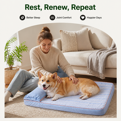 Ortekor Orthopedic Memory Foam & Breathable Waterproof Bolster Bed (Removable Cover)