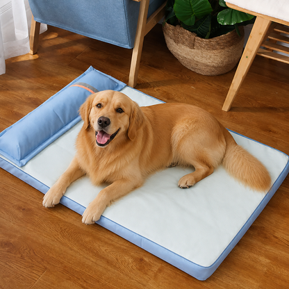 Ortekor Orthopedic Memory Foam & Breathable Waterproof Bolster Bed (Removable Cover)