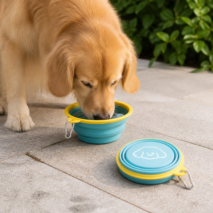 Ortekor Portable Collapsible Silicone Pet Bowl (Leash Clip)