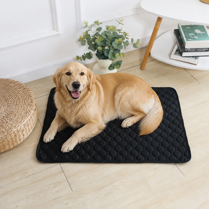 Ortekor Ultra-Absorbent Waterproof Quilted Training Pad (Machine Washable)