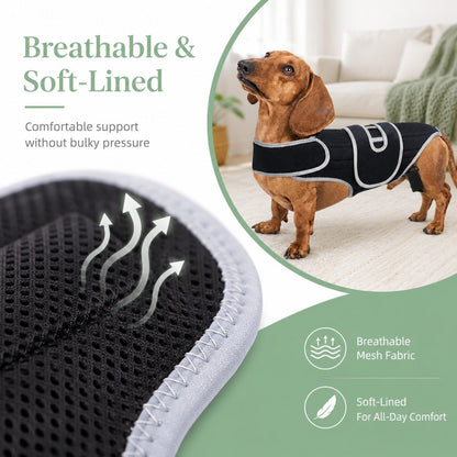 Full-Length Breathable & Adjustable Dog Back Support Vest