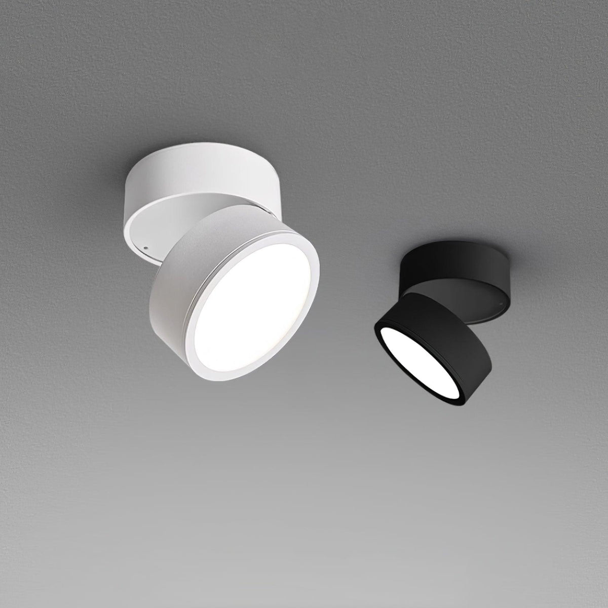 Adjustable Spotlight Ceiling Fixture 4 Inch Rotating LED Light for Artwork Living Room Gallery Black White Aluminum