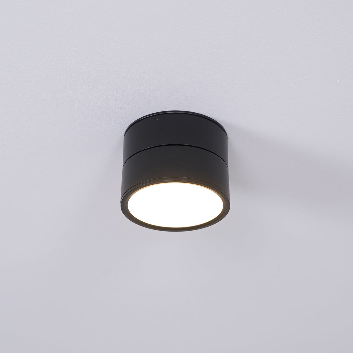 Adjustable Spotlight Ceiling Fixture 4 Inch Rotating LED Light for Artwork Living Room Gallery Black White Aluminum